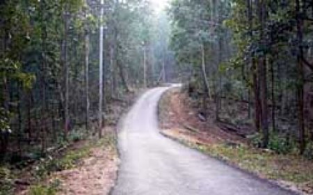 छत्तीसगढ़ के उत्तरी छोर के आखिरी गांव पुंदाग में आजादी के 75 साल बाद बन रही सड़क