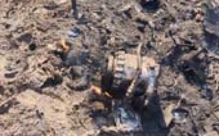 भरतपुर में वायुसेना का फाइटर जेट क्रैश.....आसमान में ही लगी आग, रेलवे स्टेशन के पास गांव में गिरा