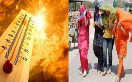 बसंत की गर्म शुरुआत:12 साल में पहली बार जनवरी में पारा सामान्य से 30 ज्यादा