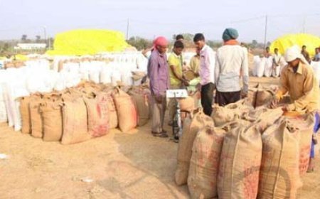 प्रदेश में धान खरीदी का आकड़ा 107 लाख मीट्रिक टन से पार : 23.39 लाख किसानों ने बेचा धान