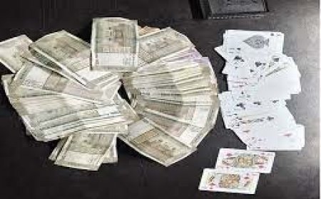 बिलासपुर में सट्‌टे का नया सिंडिकेट:SP के बदलते ही सट्‌टेबाजों का बदल जाता है थाना, थाने के चर्चित आरक्षक करते हैं वसूली