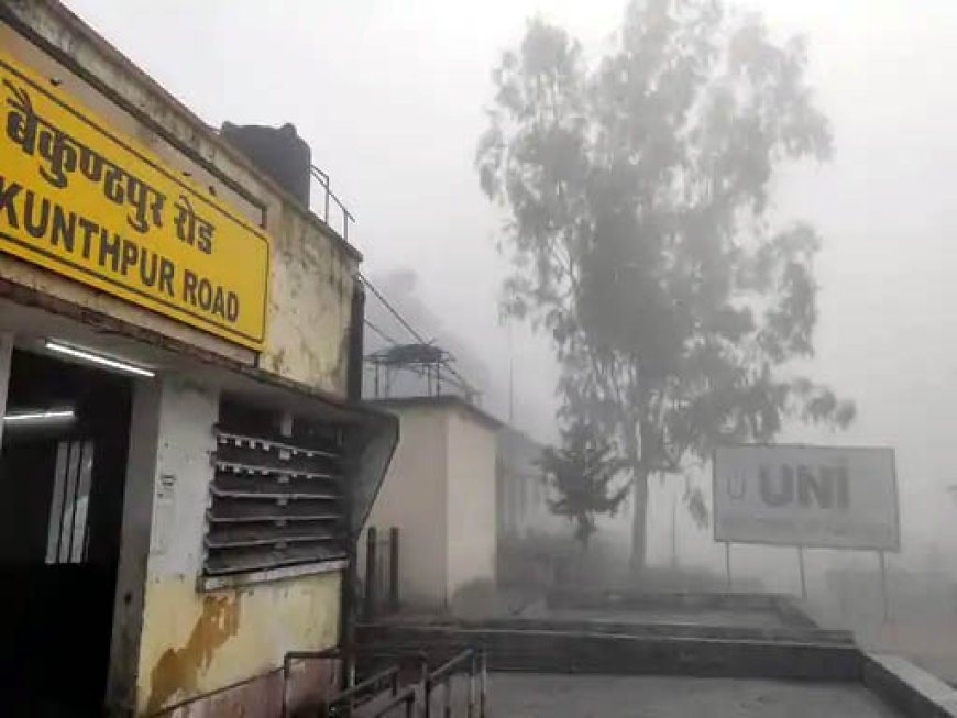 कोरिया में 2.6 डिग्री तक पहुंचा तापमान, सरगुजा के जिलों में जमी ओस, चिल्फी घाटी में बर्फ की चादर