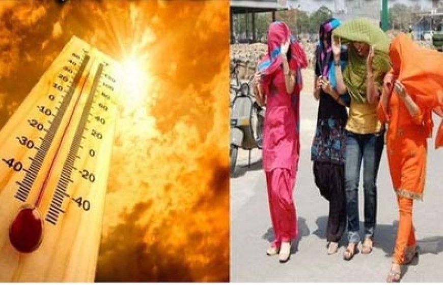 बसंत की गर्म शुरुआत:12 साल में पहली बार जनवरी में पारा सामान्य से 30 ज्यादा