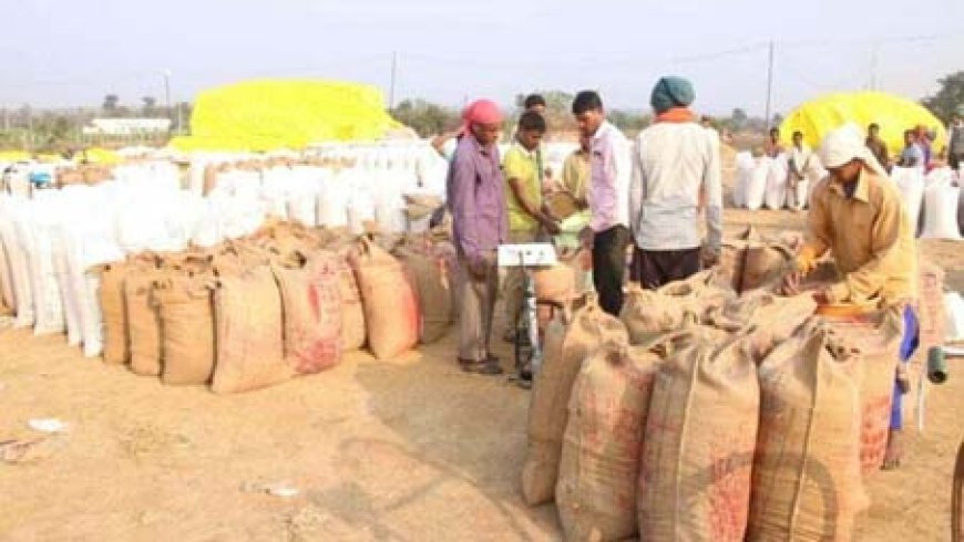 प्रदेश में धान खरीदी का आकड़ा 107 लाख मीट्रिक टन से पार : 23.39 लाख किसानों ने बेचा धान