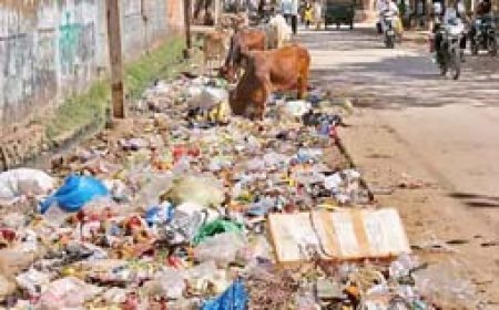 हड़ताल का असर:हर दिन निकलता है 350 टन कचरा तीन दिन से नहीं उठा, 1 हजार टन डंप