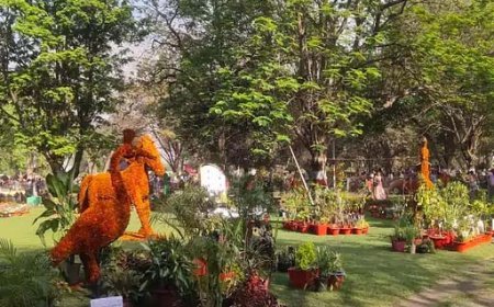 फ्लावर शो में 400 किलो का फ्लोरा स्टैच्यू:व्हाइट टाइगर, हिरण और 3डी रंगोली ने खींचा सबका ध्यान, टॉय ट्रेन में रही बच्चों की भीड़