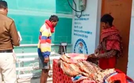 बाप को दौड़ा-दौड़ाकर मार डाला, मां को डंडे से पीटा:महिला ने कहा था-तू पागल हो गया है, नाराज बेटे ने डंडे से किया हमला