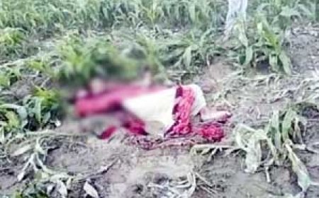 भिलाई की महिला की अर्धनग्न अवस्था में मिली लाश, 3 दिन से थी लापता, आरोपी ने पहचान छिपाने के लिए चेहरा जलाया… हत्या की आशंका