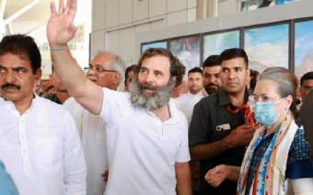 ब्रेकिंग : कांग्रेस का 85वां अधिवेशन:रायपुर पहुंचे राहुल और सोनिया गांधी