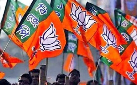 BJP रायपुर जिला कार्यकारिणी की लिस्ट जारी, देखें किन-किन को मिली जिम्मेदारी …