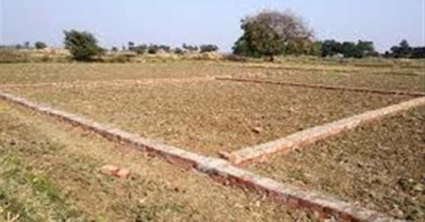 ग्राम सड्डू के पटवारी नक्शे में गड़बड़ी, भू–माफिया उठा रहे फायदा,किसान को नहीं मिल रहा न्याय, आत्महत्या करने मजबूर