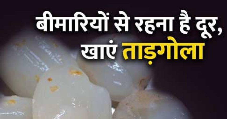 6 बीमारियों से बचाए पानी, फाइबर से भरपूर ये फल, इम्यूनिटी भी करे बूस्ट, गर्मियां शुरू होते ही डाइट में करें शा
