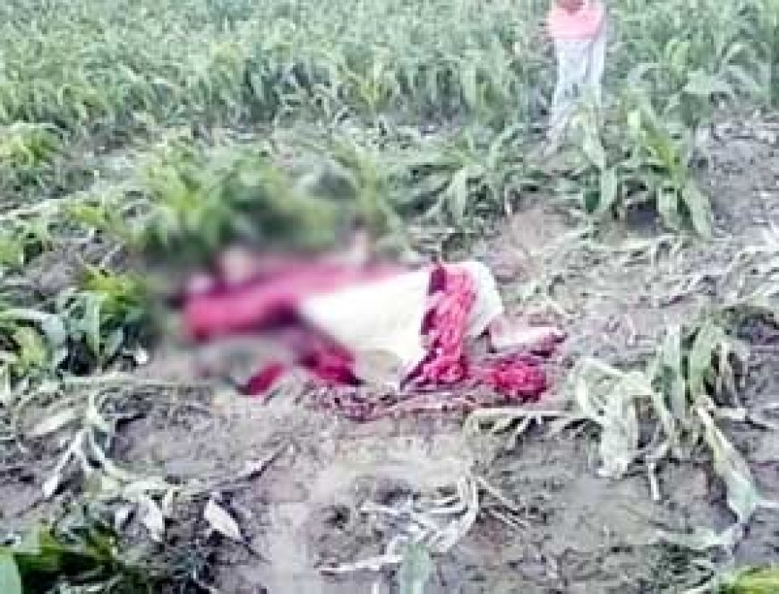 भिलाई की महिला की अर्धनग्न अवस्था में मिली लाश, 3 दिन से थी लापता, आरोपी ने पहचान छिपाने के लिए चेहरा जलाया… हत्या की आशंका
