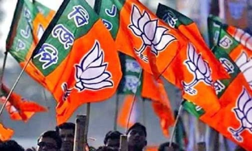 BJP रायपुर जिला कार्यकारिणी की लिस्ट जारी, देखें किन-किन को मिली जिम्मेदारी …