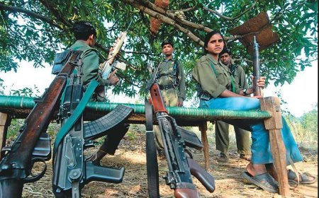 *CG News: नक्सलियों और सुरक्षाबलों के बीच मुठभेड़, भारी मात्रा में विस्फोटक बरामद, जवानों को भारी पड़ता देख…