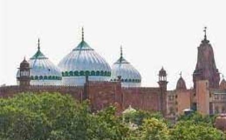 श्रीकृष्ण जन्मभूमि विवाद पर 15 मार्च को होगी सुनवाई:ज्ञानवापी की तरह शाही ईदगाह और मीना मस्जिद के सर्वे पर मथुरा कोर्ट लेगी फैसला