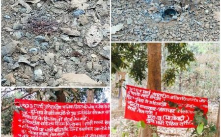 *नक्सलियों ने बैनर पोस्टर लगाकर की अंतरराष्ट्रीय महिला दिवस मनाने की अपील*