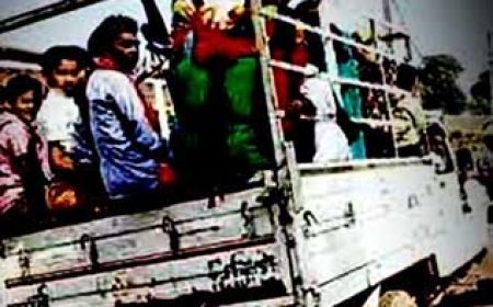 शराब पीकर पिकअप वाहन में बराती ले जा रहे हैं बरात को यातायात पुलिस ने वापस भेजा