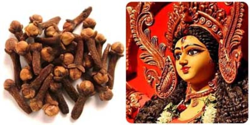चैत्र नवरात्रि में लौंग के 7 आसान उपाय, ग्रह दोषों से मिल सकती है मुक्ति, आर्थिक तंगी भी होगी दूर