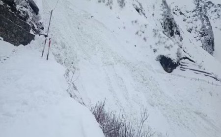 केदारनाथ दर्शन के लिए फिर शुरू हुई यात्रा, ग्लेशियर टूटने पर बंद हो गया था रास्ता, SDRF और PWD ने की कड़ी मशक्कत