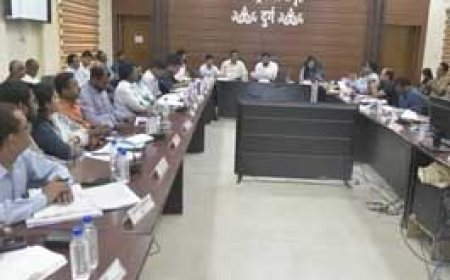 अपंजीकृत नर्सिंग होम्स की होगी जांच:कलेक्टर ने सीएमएचओ को लगाई फटकार, कहा जांच कर दें रिपोर्ट