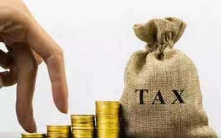 वित्त का दावा:सरकार को रिकॉर्ड राजस्व मिला, लोन कम लेना पड़ा