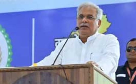 ITI में प्रशिक्षण अधिकारियों के लिए 920 पदों पर भर्ती:5 संभागीय मुख्यालयों में होगी परीक्षा,7 से 22 जून तक 2 शिफ्ट में होंगे एग्जाम