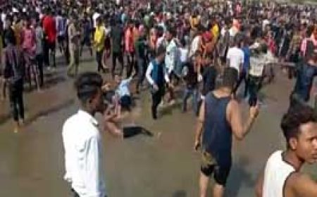 पिकनिक स्पॉट पर युवकों में जमकर मारपीट, DJ लेकर हसदेव नदी में नहाने पहुंचे थे सैकड़ों युवक, इन्हीं में से दो गुट भिड़े