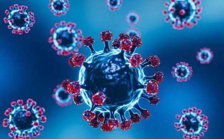 छत्तीसगढ़ में कोरोना के रफ्तार पर लग रही लगाम, 24 घंटे में मिले 11 नए मरीज, 124 कुल एक्टिव केस