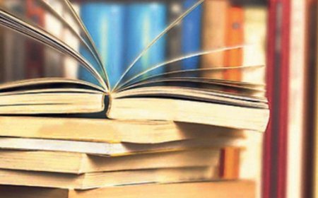 सरकारी स्कूलों में पहली बार एक साथ बढ़े 1.25 लाख छात्र, छापीं 40 लाख किताबें