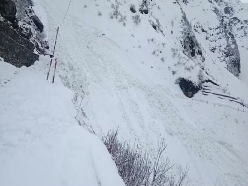 केदारनाथ दर्शन के लिए फिर शुरू हुई यात्रा, ग्लेशियर टूटने पर बंद हो गया था रास्ता, SDRF और PWD ने की कड़ी मशक्कत