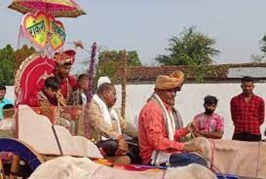अनोखी शादी: बैलगाड़ी में निकली इंजीनियर दूल्हे की बारात, देखने के उमड़ा शहर, Video हुआ वायरल