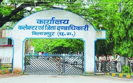 बिलासपुर में अधिकारी-कर्मचारियों की छुट्‌टी पर बैन:5 सरपंच और 12 पंच का होगा चुनाव, 27 जून को मतदान; आचार संहिता लागू