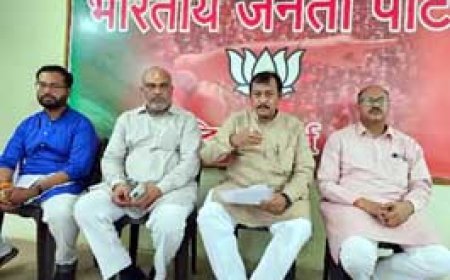 सांसद विजय बघेल की मुख्यमंत्री को चुनौती:कहा-एक्सपर्ट को बुलाकर मेरे साथ आंकड़ों पर बात करें, MSP का सबसे ज्यादा हिस्सा केंद्र सरकार देती है