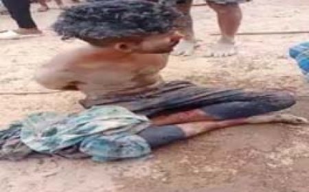 शादी में शराब नहीं मिलने पर चाकूबाजी:2 युवकों को गांववालों ने पकड़कर जमकर पीटा, अर्धनग्न कर रस्सियों से बांधा; 6 आरोपी गिरफ्तार