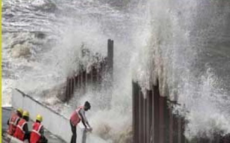 चक्रवाती तूफान बिपरजॉय से गुजरात में तबाही, 940 गांवों में बिजली आपूर्ति ठप, दक्षिणी राजस्थान में भारी बारिश