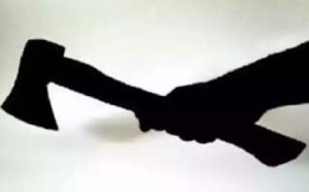 मां से झगड़ा हुआ तो मार दी कुल्हाड़ी: महिला ने भागकर बचाई जान, अस्पताल में कराया गया भर्ती