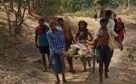 टूटी सड़कें और खाट पर जिंदगी: एंबलेुंस पगडंडियों पर अटकी, एक किमी पैदल मरीज को उठाकर लाए 108 सेवा के कर्मचारी