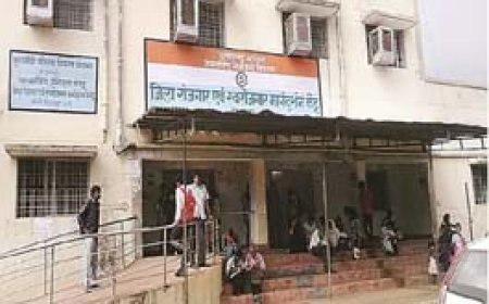 CG में बेरोजगारों को नौकरी के लिए सुनहरा मौका:355 पदों पर होगी भर्ती, 27 जून को प्लेसमैंट कैंप; 12वीं पास भी हो सकते हैं शामिल