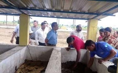 गोधन न्याय योजना में लापरवाही पर गाज: चार ग्राम पंचायत सचिव सस्पेंड, कृषि विस्तार अधिकारी सहित 60 को नोटिस