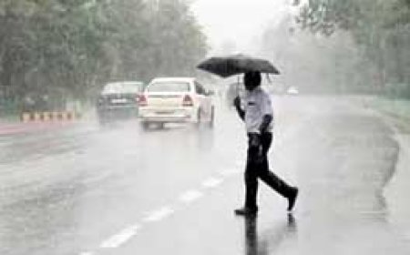 छत्तीसगढ़ में राहत की बारिश:मानसून की एंट्री के साथ 10 डिग्री तक गिरा तापमान, धमतरी में सोंढूर का जलस्तर बढ़ा