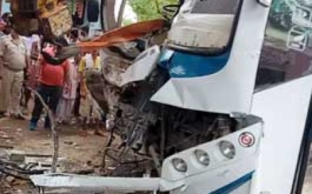 छत्तीसगढ़ से पटना जा रही बस पेड़ से टकराई:हादसे में 18 लोग घायल, ड्राइवर की स्थिति गंभीर