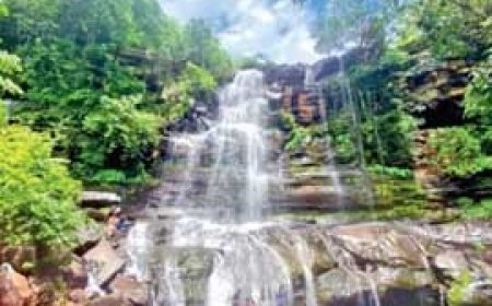 मानसून धमाका:सिर्फ तीन दिन में ही जून का कोटा लगभग पूरा, आज से हल्की वर्षा