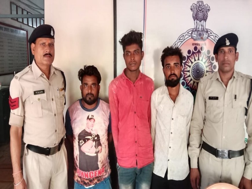 मवेशी चोरी करने वाले तीन आरोपी गिरफ्तार:17 मवेशी जब्त, तस्करी से जुड़े तार, पुलिस कर रही पूछताछ