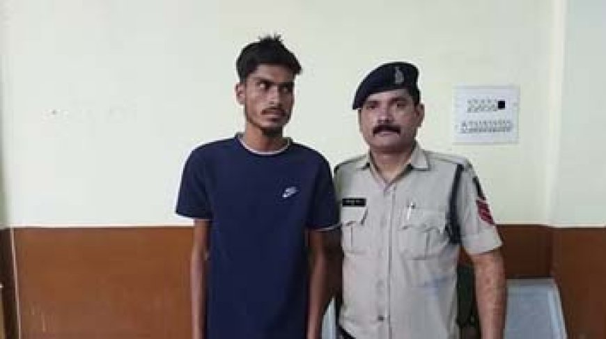 सोनू के जाल में फंसी 'सोना': कॉल कर बनाया प्रेमिका का अश्लील वीडियो, फिर की ऐसी डिमांड जिसे वो न कर पाई पूरा