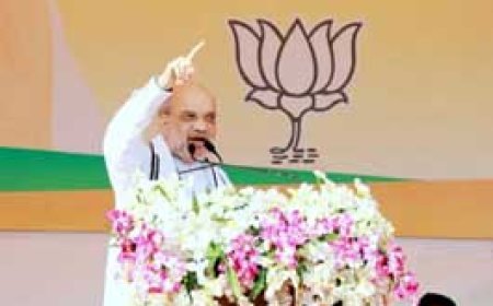 शाम 7 बजे तक रायपुर पहुंचेंगे अमित शाह:आज रात तय होगा भाजपा का चुनावी एक्शन प्लान;टॉप नेताओं से बंद कमरे में मिलेंगे केंद्रीय गृहमंत्री