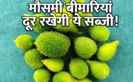 बारिश के दिनों में मिलने वाली यह सब्जी ताकत से है भरपूर! मौसमी बीमारियां रखती है दूर, मिलते हैं गजब के फायदे