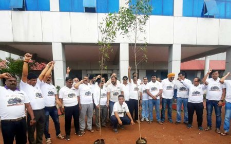 " हर आँगन एक पेड़ " अभियान हर घर पहुँचे : विजय बघेल