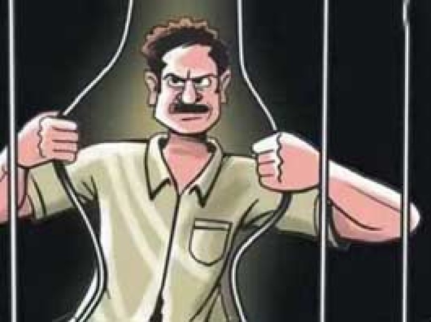 लॉकअप से फरार हुए लूट और चोरी के आरोपी, गिरफ्तार:रायपुर पुलिस की मदद से देर रात गिरफ्त में आए चोर, गैंग का भी हुआ पर्दाफाश