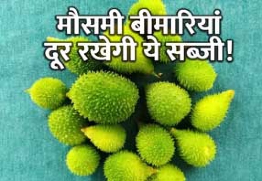 बारिश के दिनों में मिलने वाली यह सब्जी ताकत से है भरपूर! मौसमी बीमारियां रखती है दूर, मिलते हैं गजब के फायदे